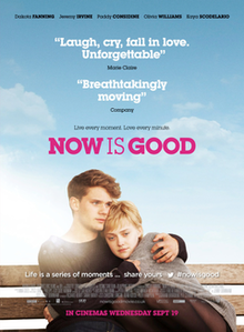 Sélection Films : Now is good