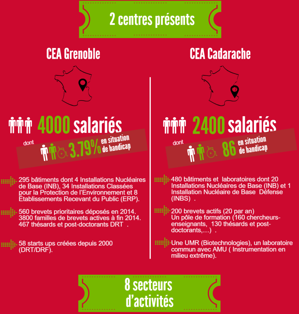 2 centres présents : CEA Grenoble : 4000 salariés dont 3,79% en situation de handicap. 295 bâtiments dont 4 Installations Nucléaires de Base (INB), 34 Installations Classées pour la Protection de l’Environnement et 8 Établissements Recevant du Public (ERP). 560 brevets prioritaires déposés en 2014. 3800 familles de brevets actives à fin 2014. 467 thésards et post-doctorants DRT. 58 starts ups créées depuis 2000 (DRT/DRF). CEA Cadarache : 2400 salariés dont 86 en situation de handicap. 480 bâtiments et  laboratoires dont 20 Installations Nucléaires de Base (INB) et 1 Installation Nucléaire de Base  Défense (INBS). 200 brevets actifs (20 par an) Un pôle de formation (160 chercheurs-enseignants, 130 thésards et post-doctorants,…). Une UMR (Biotechnologies), un laboratoire commun avec AMU ( Instrumentation en milieu extrême).