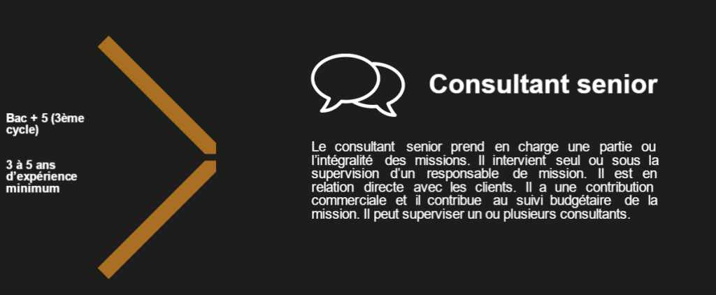 Consultant senior Le consultant senior prend en charge une partie ou l’intégralité des missions. Il intervient seul ou sous la supervision d’un responsable de mission. Il est en relation directe avec les clients. Il a une contribution commerciale et il contribue au suivi budgétaire de la mission. Il peut superviser un ou plusieurs consultants. Bac + 5 (3ème cycle) 3 à 5 ans d’expérience minimum