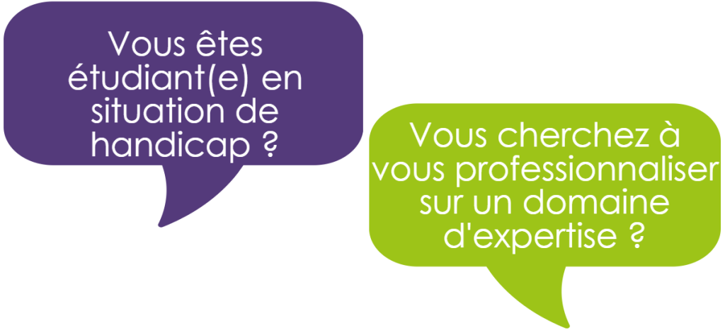 Vous êtes étudiant(e) en situation de handicap ? Vous cherchez à vous professionnaliser sur un domaine d'expertise ?